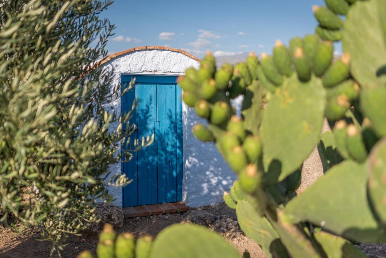 Al Agia - Mirador De Los Quinientos Padul Εξωτερικό φωτογραφία